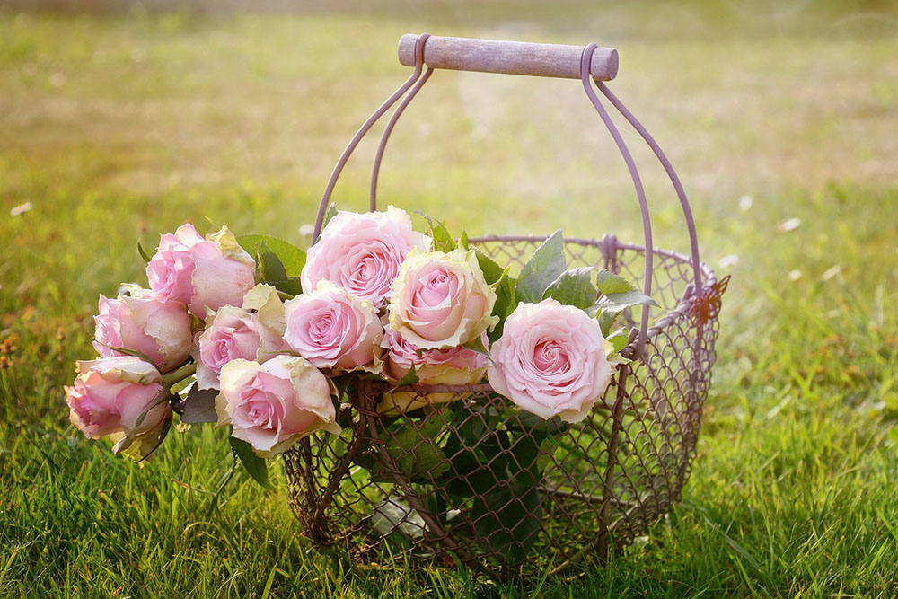кошници с цветя - рози